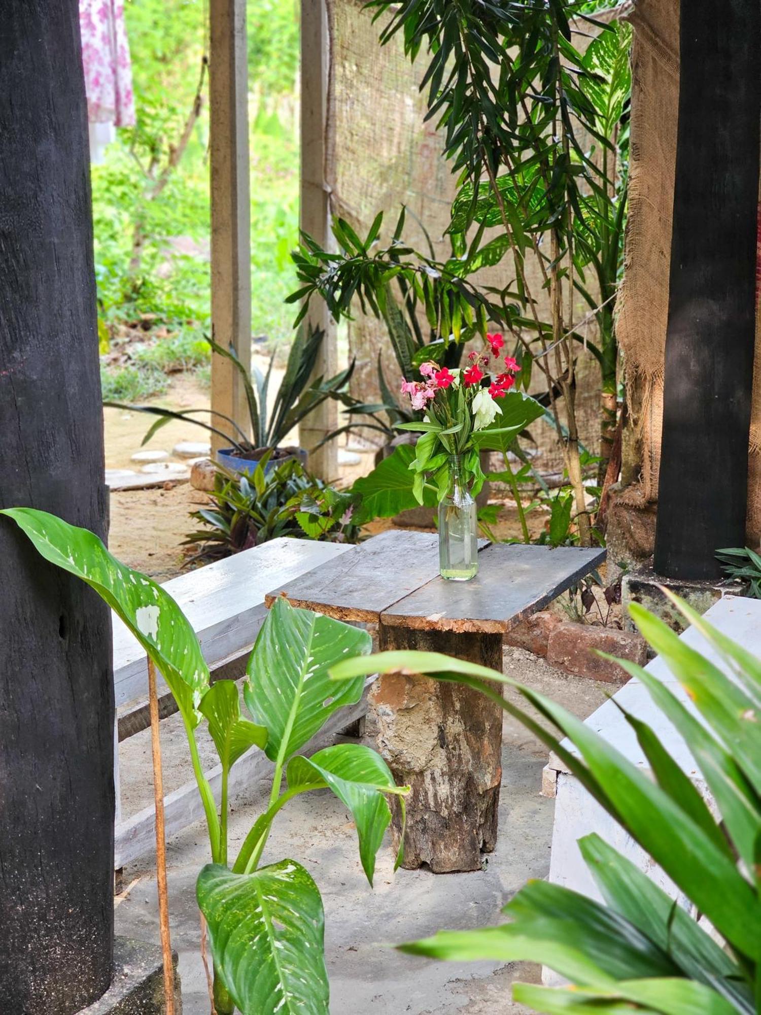 Bird House Mirissa Hotel Buitenkant foto