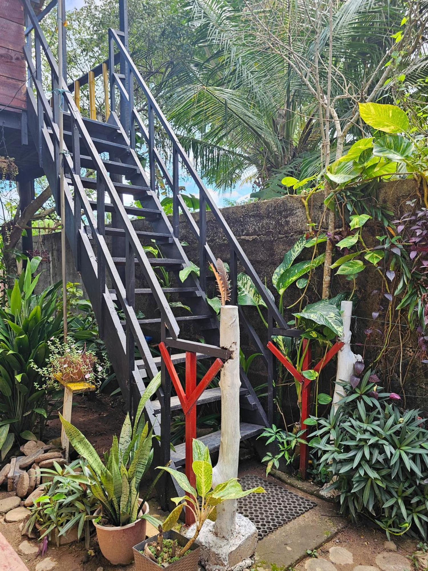 Bird House Mirissa Hotel Buitenkant foto